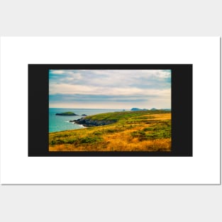 St Davids Peninsula - Coastal Scenery - Pembrokeshire, Wales Posters and Art